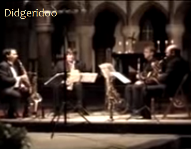 image for Didgeridoo