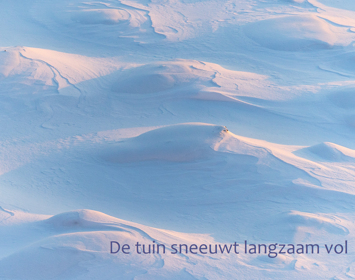 image for De tuin sneeuwt langzaam vol